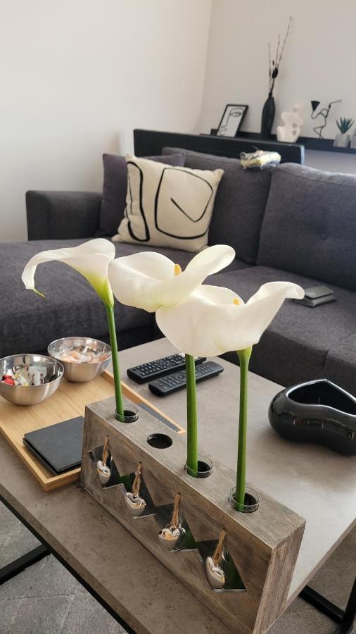 Apartman Riva 크랄레보 외부 사진